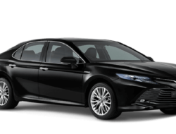 Explore the Perfect Hybrid Engine that Elevates the Luxury of Camry