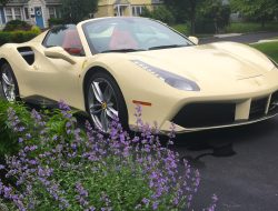 Fitur Keren Ferrari 488 Spider: Jadikan Supercar Anda Lebih Menarik!