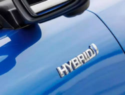 Manakah yang Lebih Unggul: Hybrids atau Mobil Listrik? Dilema Besar di Kalangan Pemain Otomotif Global