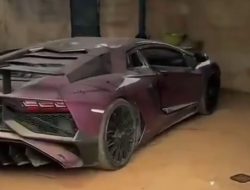 Penasaran! Supercar super langka senilai £300,000 ditemukan terbengkalai di dalam HUTAN