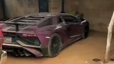 Penasaran! Supercar super langka senilai £300,000 ditemukan terbengkalai di dalam HUTAN