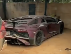 Penemuan Mengejutkan: Lamborghini Aventador Ditemukan Terabaikan di Hutan Asia