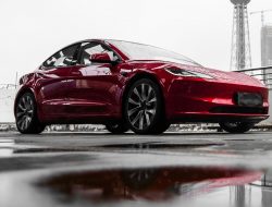 Pemilik Tesla China Berkendara Sejauh 434.9 Juta Mil Selama Liburan Tahun Baru Imlek: Seperti Apa Pengalaman Mereka?