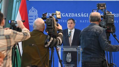 hungarian minister warns against american chinese expansion in the electric vehicle sector.jpg