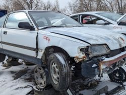 Misteri Honda CRX 1988 dengan Jarak Tempuh 413k Mil di Tempat Pembuangan Mobil di Colorado – Autoweek