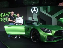 Penampakan Baru Mercedes AMG GT R dan GT Roadster!