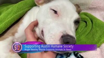 Pesta Mobil Mazda: Raffle Menarik di Austin Humane Society