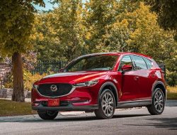 Program Investasi Mazda: Mendorong Pemuda Indonesia