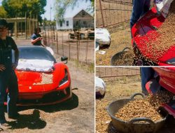 Si YouTuber dari Indiana menciptakan alat pakan hewan termahal di dunia dari Ferrari F8 Tributo senilai $400,000! Apakah merek Italia akan melarangnya?