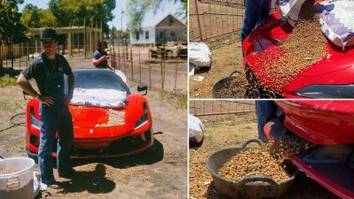 Youtuber from Indiana turns his $400,000 Ferrari F8 Tributo into the world’s most expensive animal feed dispenser. Will the stringent Italian marque blacklist the influencer?