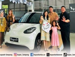 Temukan Rahasia Wuling Air-EV dan Binguo-EV: Hemat Biaya Perawatan!