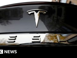 Model baru Tesla membuat keuntungan terus berlipat-ganda: Temukan apa yang membuatnya istimewa!