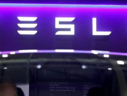 Petualangan Tesla yang Penuh Liku, Terungkap dalam Lima Grafik