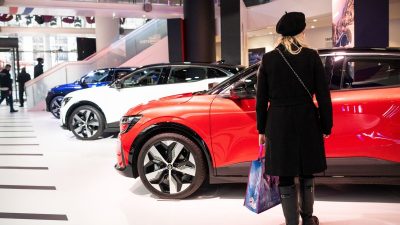 Renault’s Robust EV Prices, Lower Costs Help Offset Demand Dip