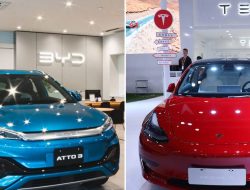 Tesla Kembali Puncaki Penjualan Mobil Listrik dari BYD Meski Penjualan Keseluruhan Menurun – Apa Rahasianya?