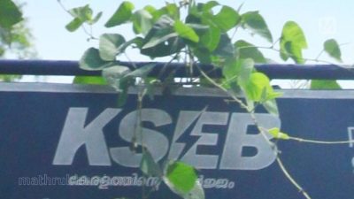 Explorasi Kendaraan Listrik Bersama K Krishnankutty dari KSEB