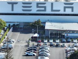 Misteri di Balik Penghapusan Lowongan Kerja Tesla di Amerika Serikat Setelah Pemecatan Elon Musk