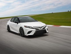 Pertarungan Menarik: Honda Accord 2024 melawan Toyota Camry 2025