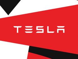 Pemotongan lebih banyak karyawan Tesla saat aksi pemutihan memasuki minggu keempat