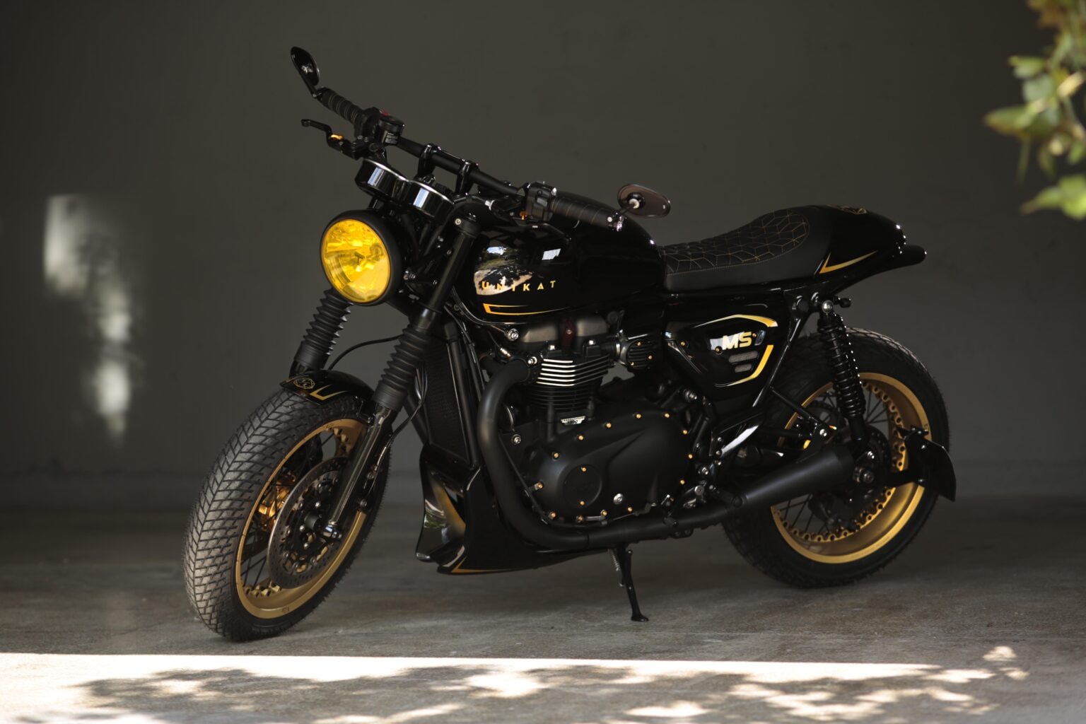 modified triumph speed twin wears the black and gold colorway better than most 234412 1.jpg