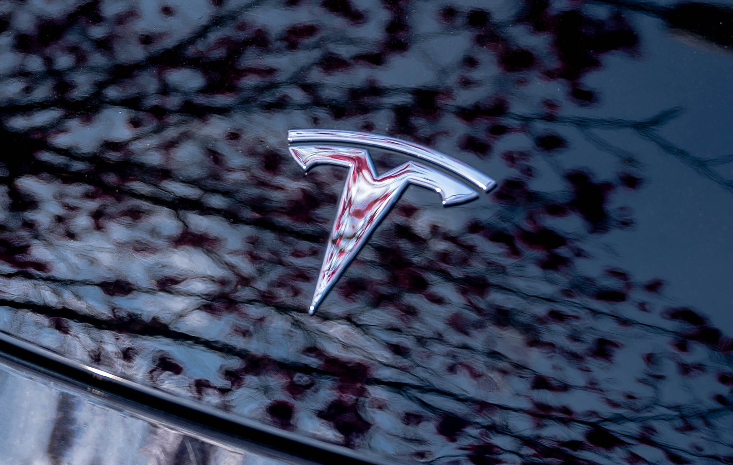 tesla logo model y.jpeg