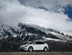 Mendominasi Statistik Penjualan Mobil Listrik di China, Tesla Model Y Puncaki Penjualan First-Half