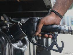 Langkah Subsidi Diesel Terbukti Tepat dengan Kenaikan Harga Bus Wisata Singapura