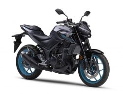 Penampilan Baru! Yamaha MT-03 & MT-25 2024 diluncurkan di Jepang dengan warna-warna menarik