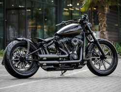 Rahasia Modifikasi Ekor Harley-Davidson Hollywood Joe: Bikin Softails Biasa Terlihat Kurang Keren!