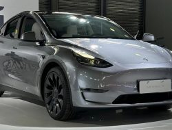 Mengapa Tesla Model Y Dapat Ditemukan dalam Katalog Pembelian Mobil Pemerintah Lokal di China?