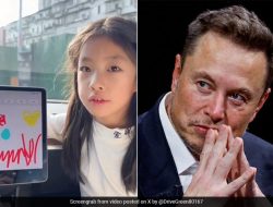 Kisah Gadis di China yang Meminta Elon Musk Memperbaiki Bug di Layar Tesla-nya, Responnya Mengejutkan!