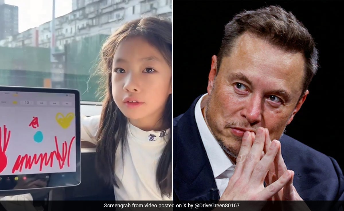 8o2hus28 girl in china asks elon musk to fix a bug on her tesla screen he reacts 625x300 02 july 24.jpg