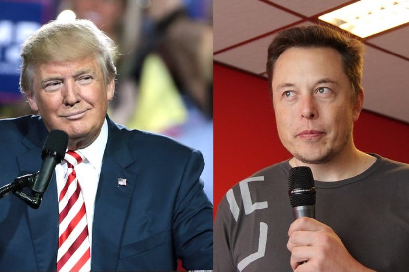 musk and trump.jpeg