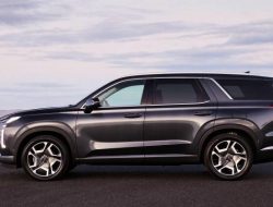 Panggilan Hyundai Palisade: Apa yang Terjadi? – Bay Post-Moruya Examiner