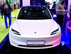 Model 3 Jarak Jauh yang Lebih Terjangkau dari Tesla Kembali – Diperbincangkan!